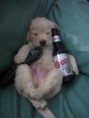 /album/fotogaleria-alkohol/a3108-0-pohoda-jpg/